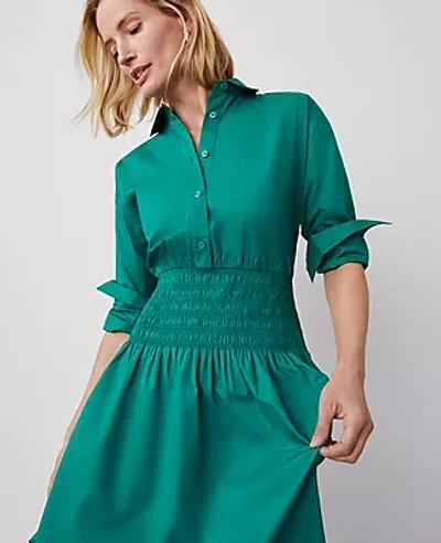 Ann Taylor Flare Midi Shirtdress In Shady Glade