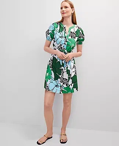 Ann Taylor Floral Belted Split Neck Dress