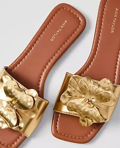 Ann Taylor Floral Embellished Slide Sandal In Brown