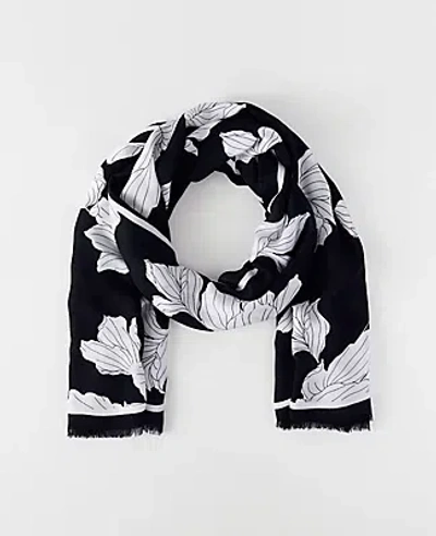 Ann Taylor Floral Scarf In Black
