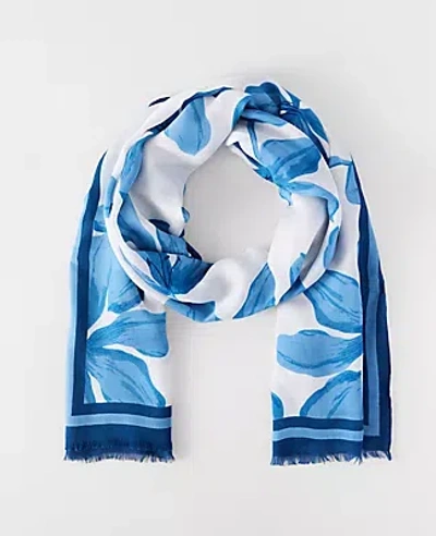 Ann Taylor Floral Scarf In White