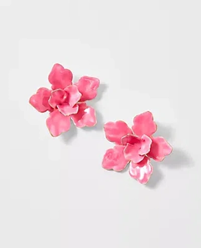 Ann Taylor Floral Statement Stud Earrings In Pink