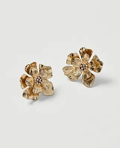 Ann Taylor Flower Stud Earrings In Goldtone