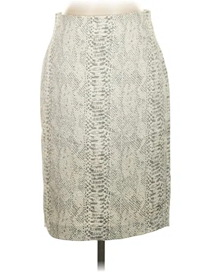 Pre-owned Ann Taylor Formal Skirt In Gray