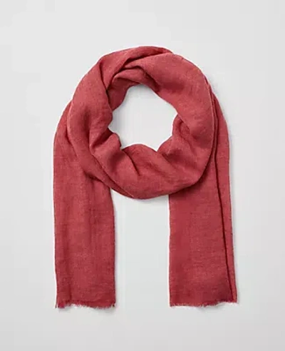 Ann Taylor Fringe Scarf