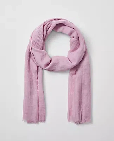 Ann Taylor Fringe Scarf