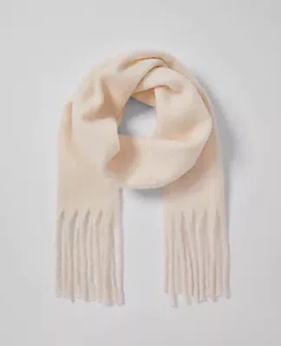 Ann Taylor Fuzzy Scarf In Winter White