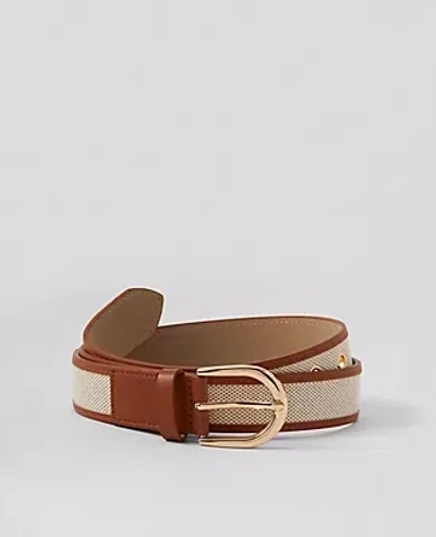 Ann Taylor Grommet Belt In Natural