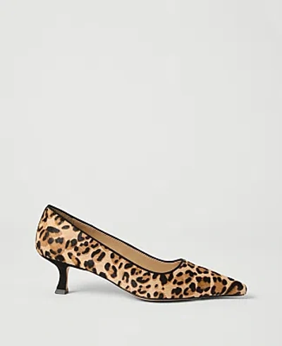 Ann Taylor Haircalf Nip Toe Pump In Multi