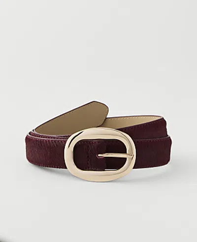 Ann Taylor Haircalf Oval Buckle Belt In Burgundy