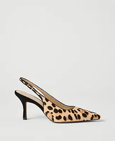 Ann Taylor Haircalf Slingback Pump In Multi