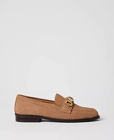 Ann Taylor Hardware Embellished Suede Loafer In Brown