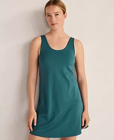Ann Taylor Haven Well Within Balance Active Dress In Blue
