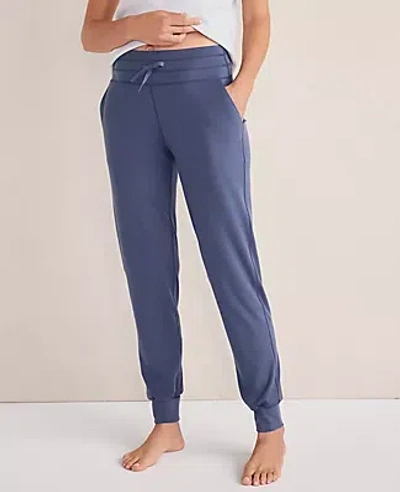 Ann Taylor Haven Well Within Balance Drawstring Joggers In Blue
