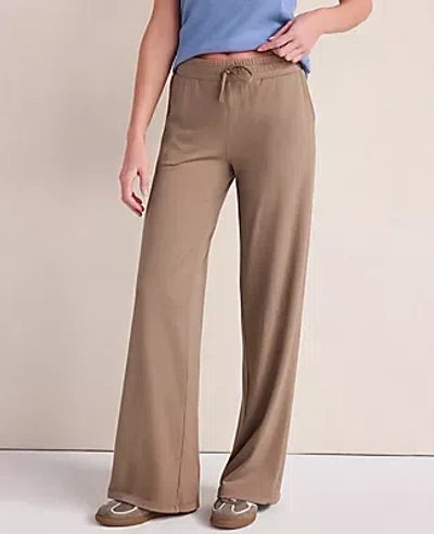 Ann Taylor Haven Well Within Balance Drawstring Pants In Brown