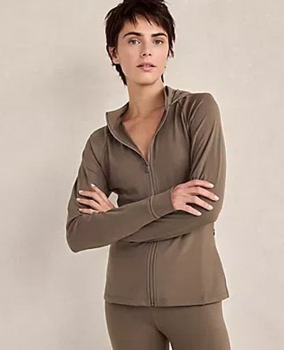 Ann Taylor Haven Well Within Balance Full-zip Jacket In Brown