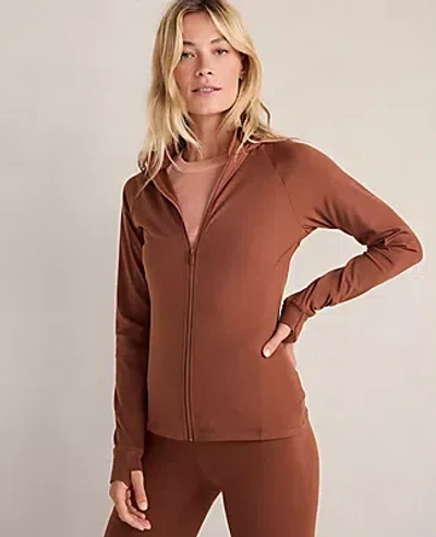 Ann Taylor Haven Well Within Balance Full-zip Jacket In Brown