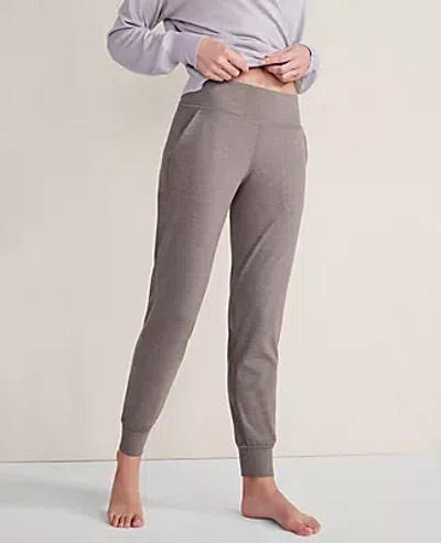Ann Taylor Haven Well Within Balance Heather Joggers In Shiitake