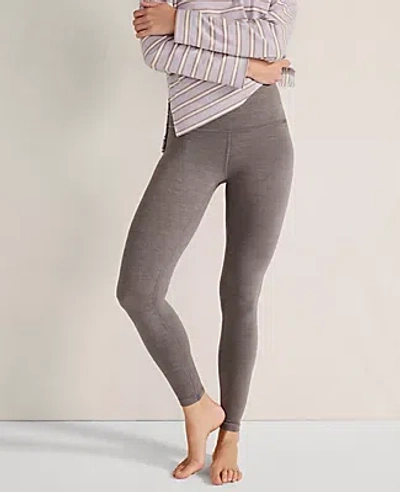 Ann Taylor Haven Well Within Balance Heather Leggings In Shiitake