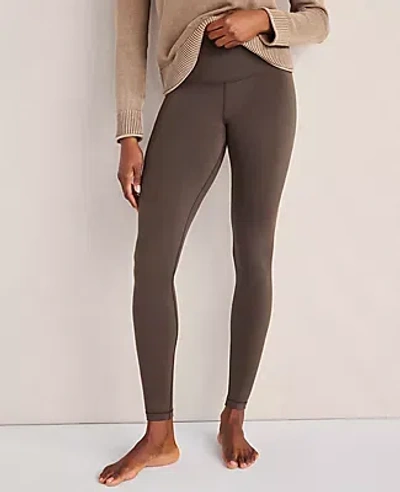 Ann Taylor Haven Well Within Balance Organic Cotton Leggings In Brown