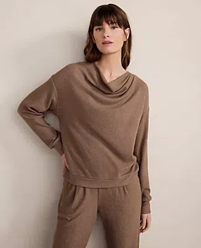 Ann Taylor Haven Well Within Brushed Rib Knit Drape Neck Top In Brown