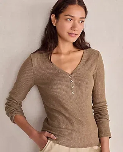 Ann Taylor Haven Well Within Brushed Rib Knit Long Sleeve Henley In Brown