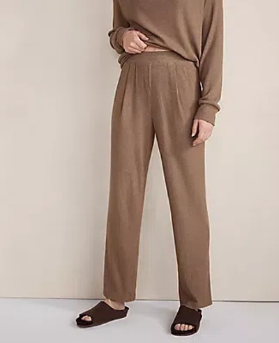 Ann Taylor Haven Well Within Brushed Rib Knit Tapered Pants In Brown