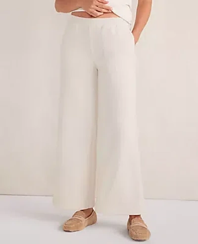 Ann Taylor Haven Well Within Brushed Terry Wide Leg Pants