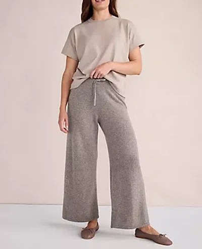 Ann Taylor Haven Well Within Cashmere Wide Leg Pants In Porcini Heather