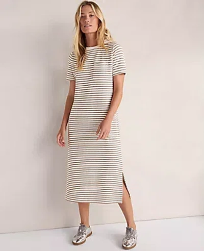Ann Taylor Haven Well Within Cotton Blend Textured T-shirt Dress In White