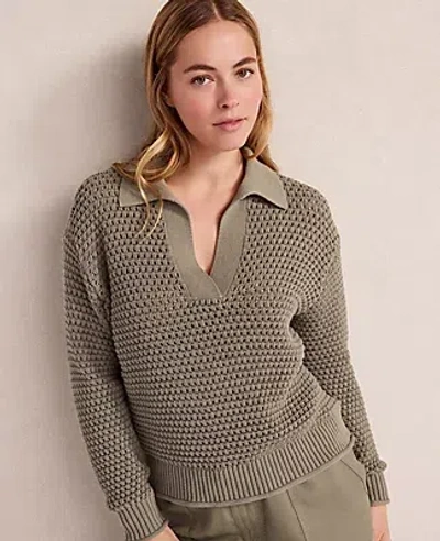 Ann Taylor Haven Well Within Cotton Wave Stitch Johnny Collar Sweater In Green