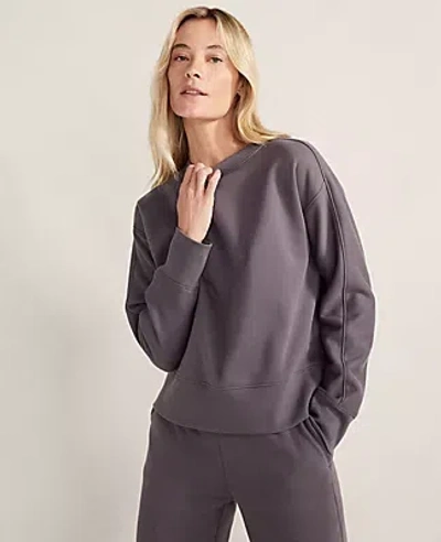 Ann Taylor Haven Well Within Cozy Fleece Crew Neck In Nightshade
