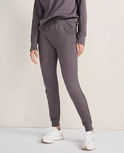 Ann Taylor Haven Well Within Cozy Fleece Joggers In Nightshade