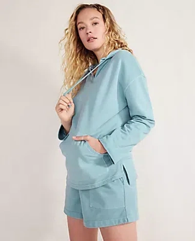 Ann Taylor Haven Well Within Garment-dyed Organic Cotton Terry Hoodie In Cascade Blue