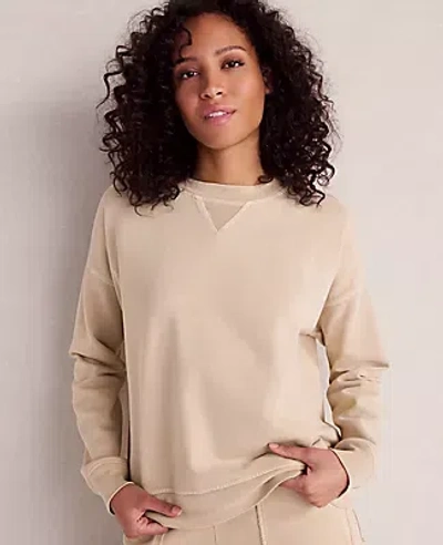 Ann Taylor Haven Well Within Garment-dyed Organic Cotton Terry Crewneck In Sand