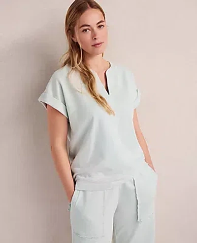 Ann Taylor Haven Well Within Garment-dyed Organic Cotton Terry Tee