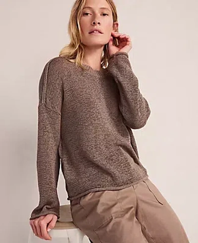 Ann Taylor Haven Well Within Linen Tape Yarn Crewneck In Brown