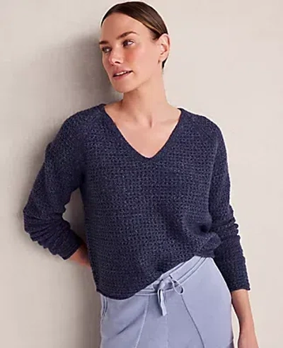 Ann Taylor Haven Well Within Merino Wool Blend V-neck Sweater In Blue