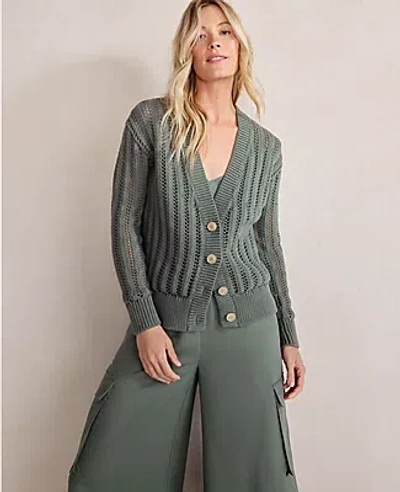 Ann Taylor Haven Well Within Open Stitch Cardigan In Pine