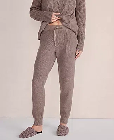 Ann Taylor Haven Well Within Organic Cotton Blend Ribbed Joggers In Forest Branch