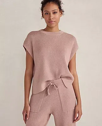 Ann Taylor Haven Well Within Organic Cotton Cashmere Drop Shoulder Tee In Brown