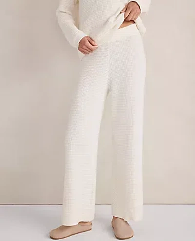 Ann Taylor Haven Well Within Organic Cotton Cashmere Waffle Wide Leg Pants In White