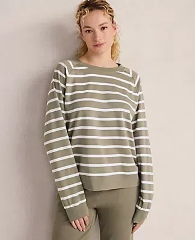 Ann Taylor Haven Well Within Organic Cotton Interlock Everyday Sweatshirt In Green