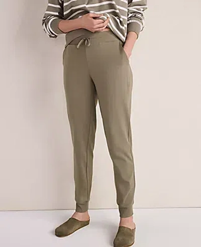 Ann Taylor Haven Well Within Organic Cotton Interlock Joggers In Green