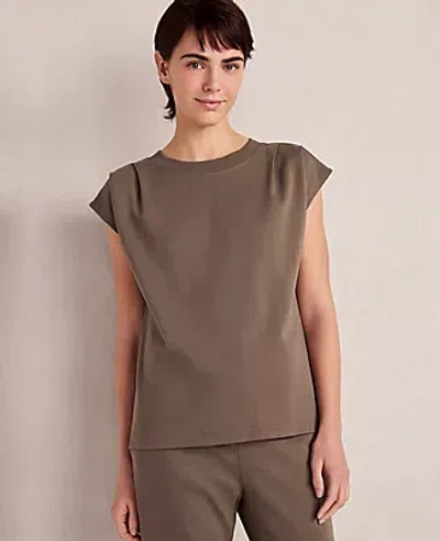 Ann Taylor Haven Well Within Organic Cotton Interlock Pleated Tee In Brown
