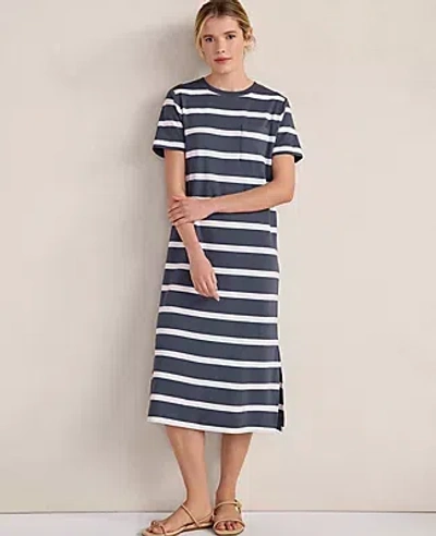 Ann Taylor Haven Well Within Organic Cotton Interlock Striped Short Sleeve Dress In Blue
