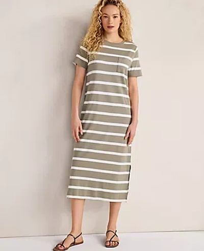 Ann Taylor Haven Well Within Organic Cotton Interlock Striped Short Sleeve Dress In Brown