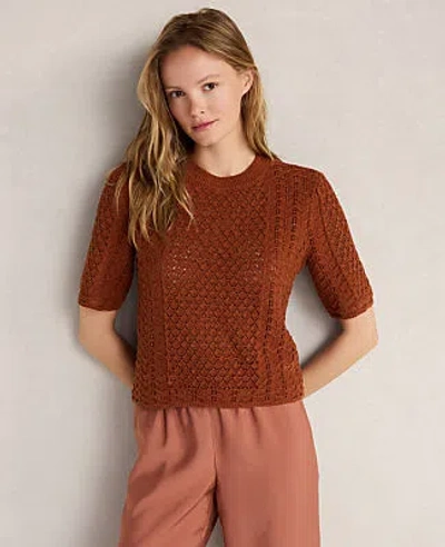 Ann Taylor Haven Well Within Organic Cotton Linen Pointelle Short Sleeve Sweater In Pumpkin Spice