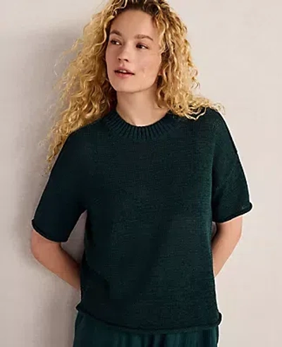 Ann Taylor Haven Well Within Organic Cotton Linen Tape Yarn Sweater In Green