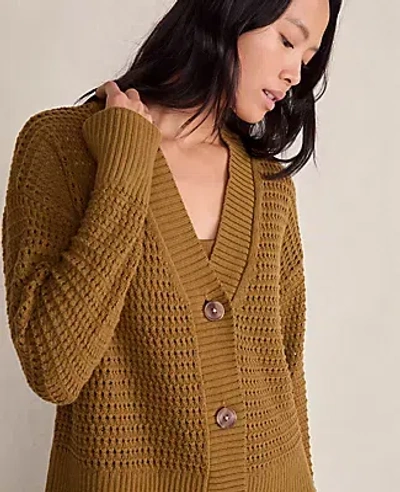 Ann Taylor Haven Well Within Organic Cotton Open Stitch Cardigan In Green